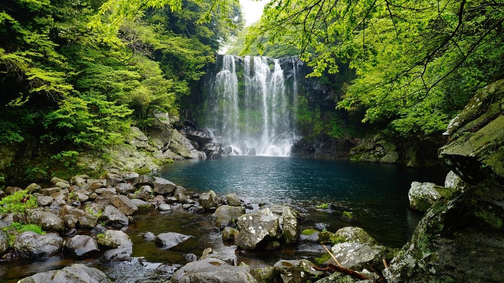 제주 · 국내 렌터카 딜